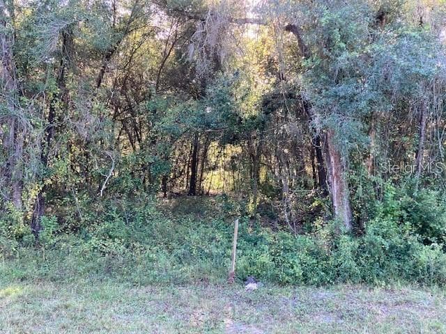 US HIGHWAY 41 LOT A-82 SPRING HILL, FL 34610