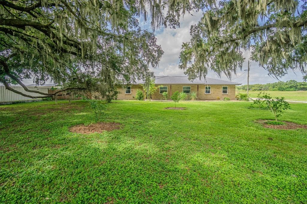 3505 MEDULLA ROAD