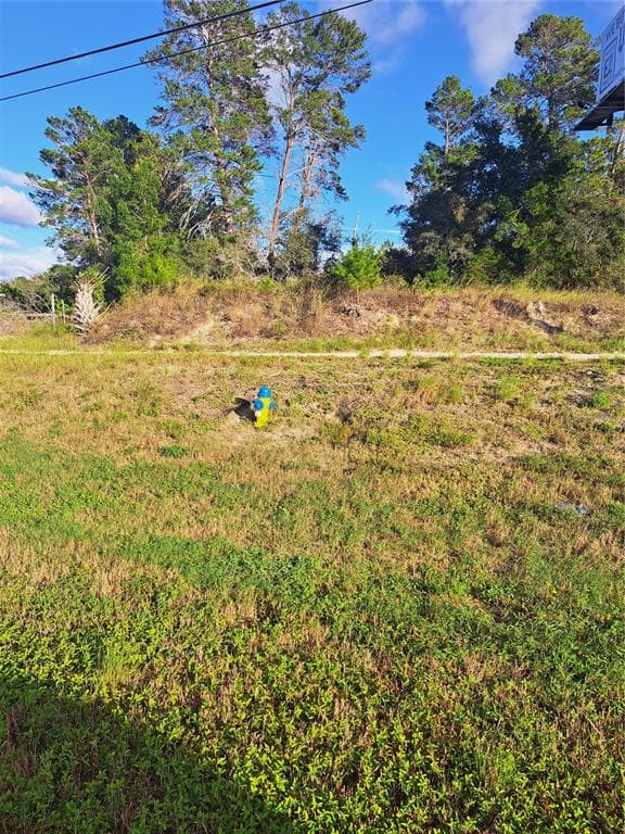 US 19 HWY HUDSON, FL 34667