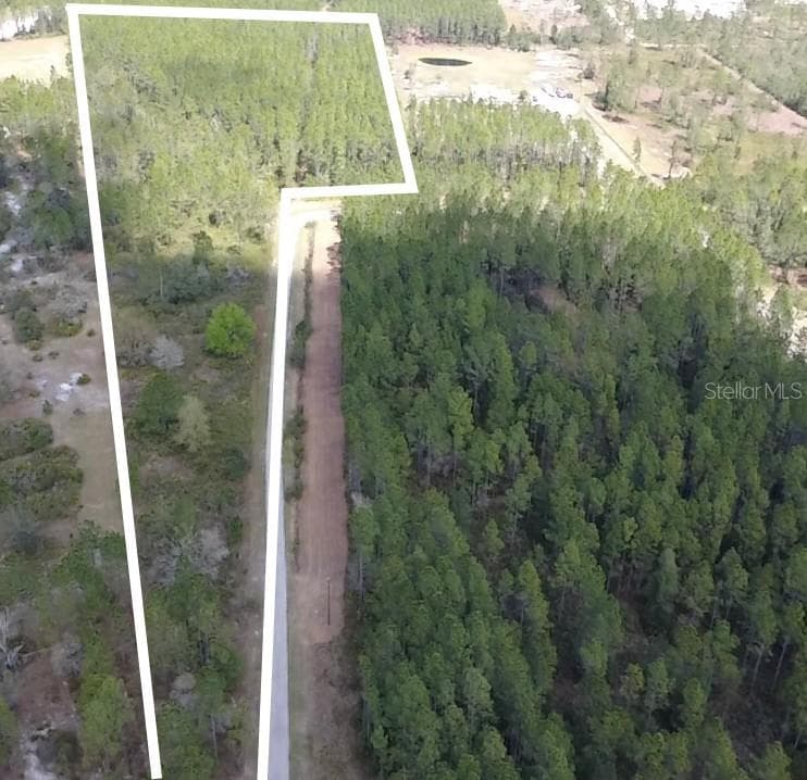 WILD CUR ROAD PIERSON, FL 32180