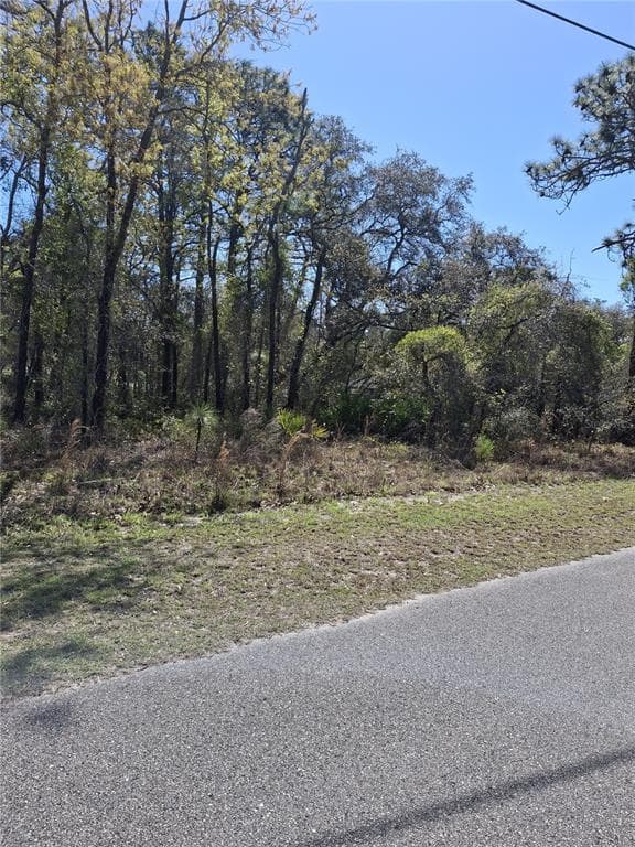 11500 LOMITA WREN ROAD WEEKI WACHEE, FL 34614