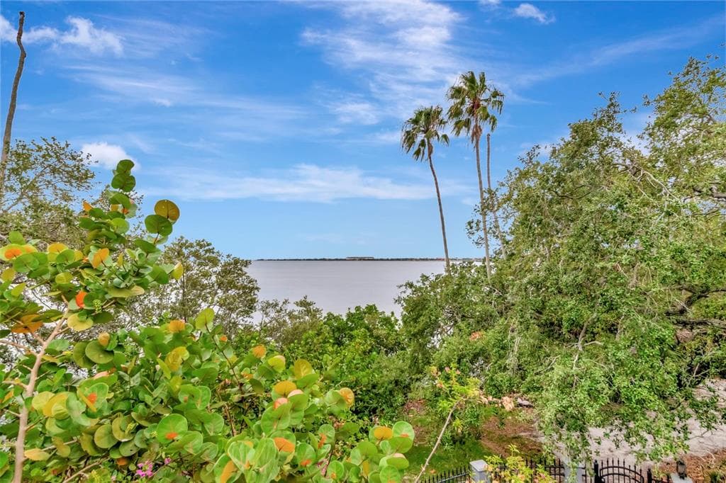 6220 BAYSHORE BOULEVARD TAMPA, FL 33611
