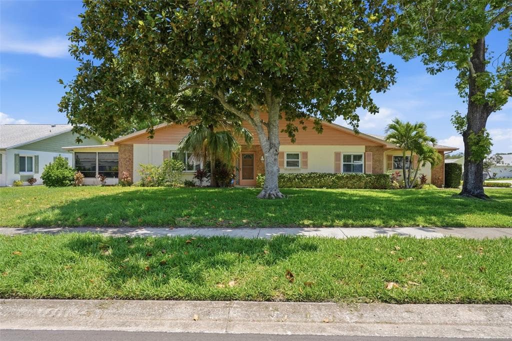 3251 MCMATH DRIVE PALM HARBOR, FL 34684