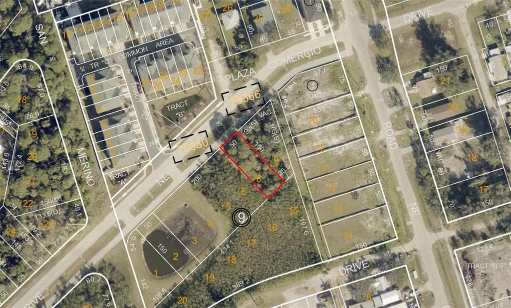SAVONA DRIVE NE ST PETERSBURG, FL 33702