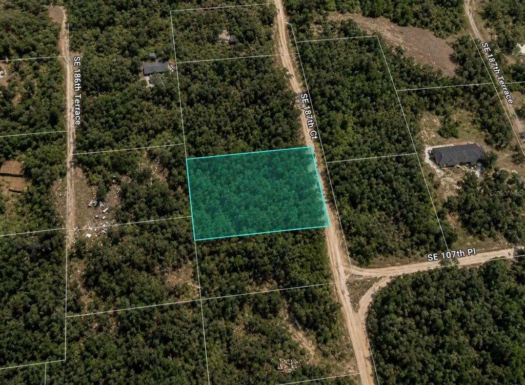 SE 187TH COURT OCKLAWAHA, FL 32179